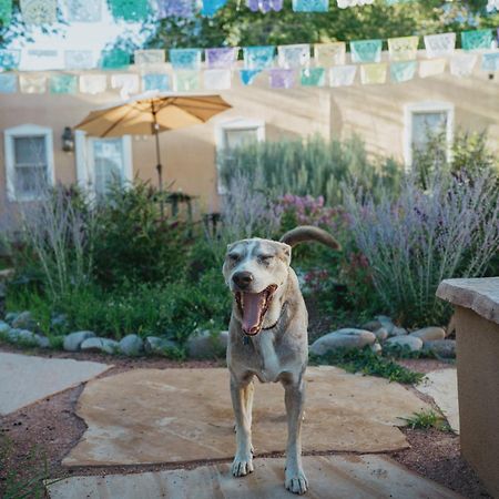Dos Hermanas Casita 8 Downtown Courtyard Patio Санта-Фе Экстерьер фото
